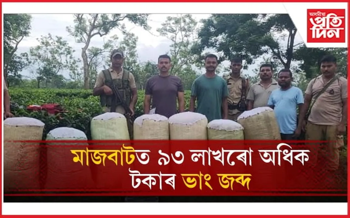 মাজবাটত আৰক্ষীৰ অভিযানত বৃহৎ পৰিমাণৰ ভাং জব্দ... 