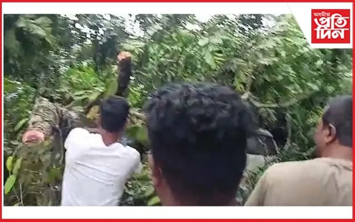 হাৰমতিত চলন্ত বাহনৰ ওপৰতে বাগৰি পৰিল প্ৰকাণ্ড গছ