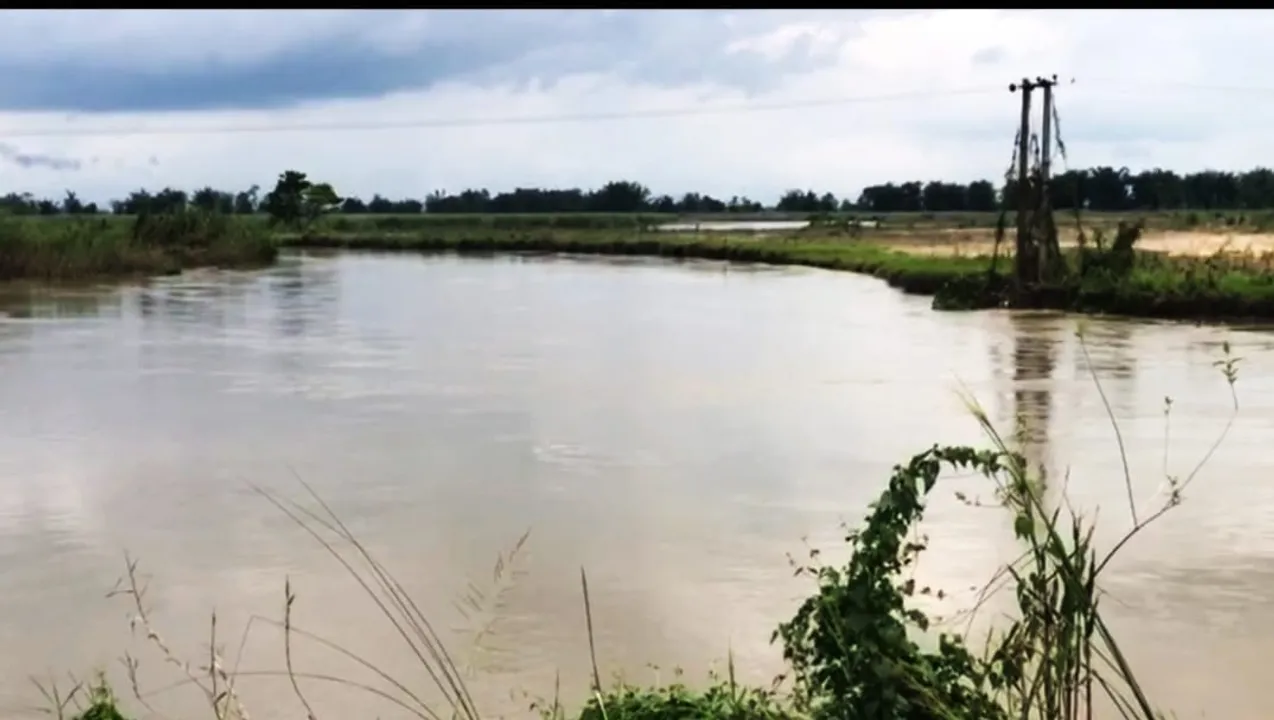 বলাহী চামপৰা মীনমহল অবৈধ ভাৱে পৰিচালনাৰ অভিযোগ...
