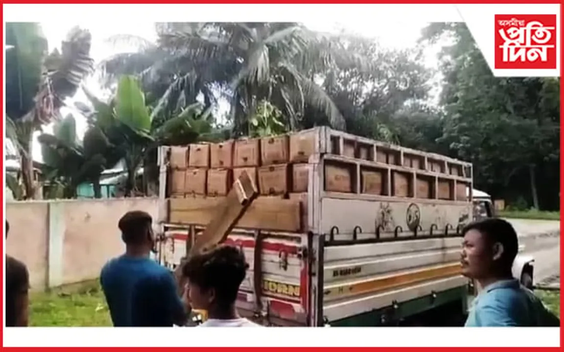 টেঙাজানত ৭০০ কাৰ্টুন মিঠা তেল উদ্ধাৰ 