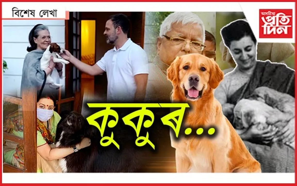 'কুকুৰ'ৰ পৰা সাৱধান...