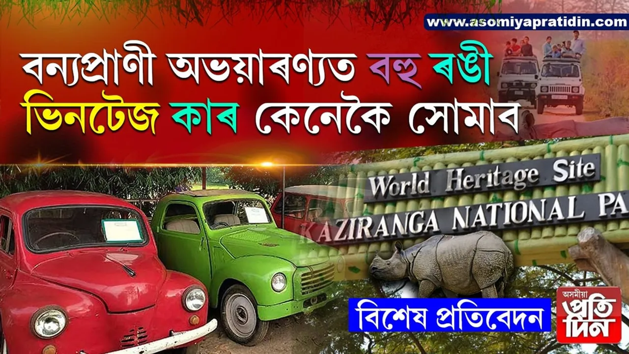 কাজিৰঙাত ভিনটেজ কাৰ ছাফাৰীঃ শংকা নে ভাল খবৰ...