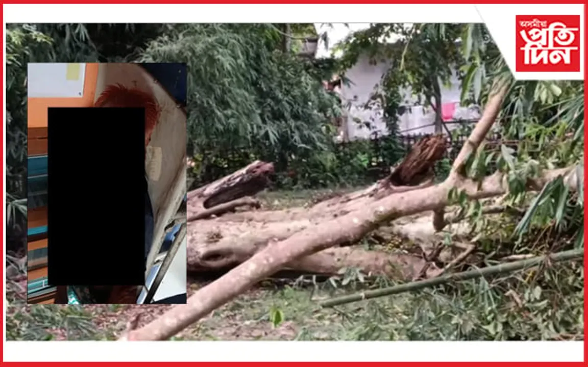 ঘিলামৰাত  বিজয়া দশমীত মৰ্মান্তিক ঘটনা...
