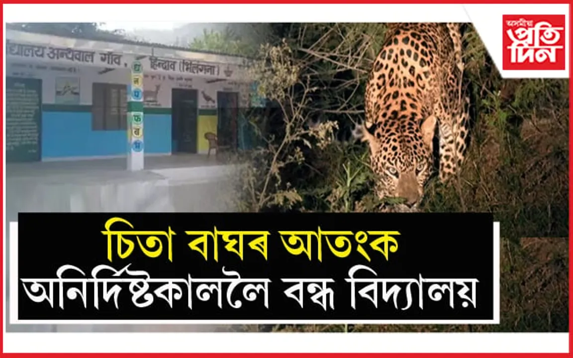 যোৱা মাহত চাৰিজন, চলিত সপ্তাহত এজন শিক্ষাৰ্থীৰ চিতা বাঘৰ আক্ৰমণত মৃত্যুঃ বাতিল পৰীক্ষা, বন্ধ বিদ্যালয়... 