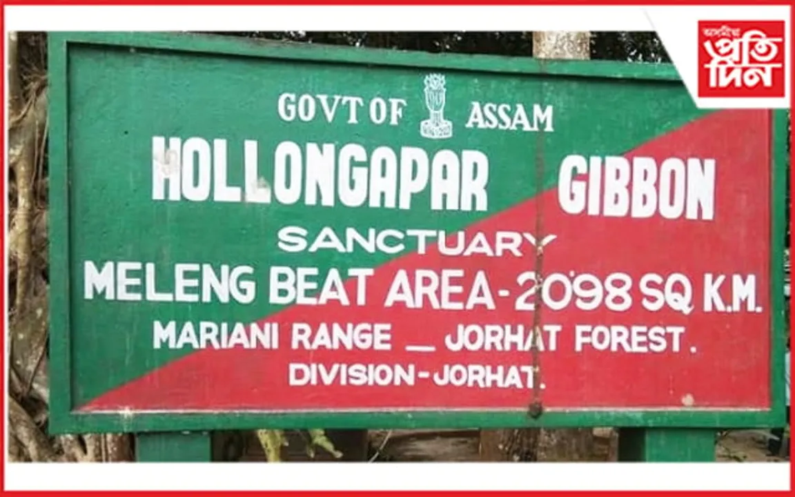 গিবন অভয়াৰণ্যত খাৰুৱা তেল অন্বেষণৰ বিৰুদ্ধে সেউজ ন্যায়াধীকৰণত গোচৰ...