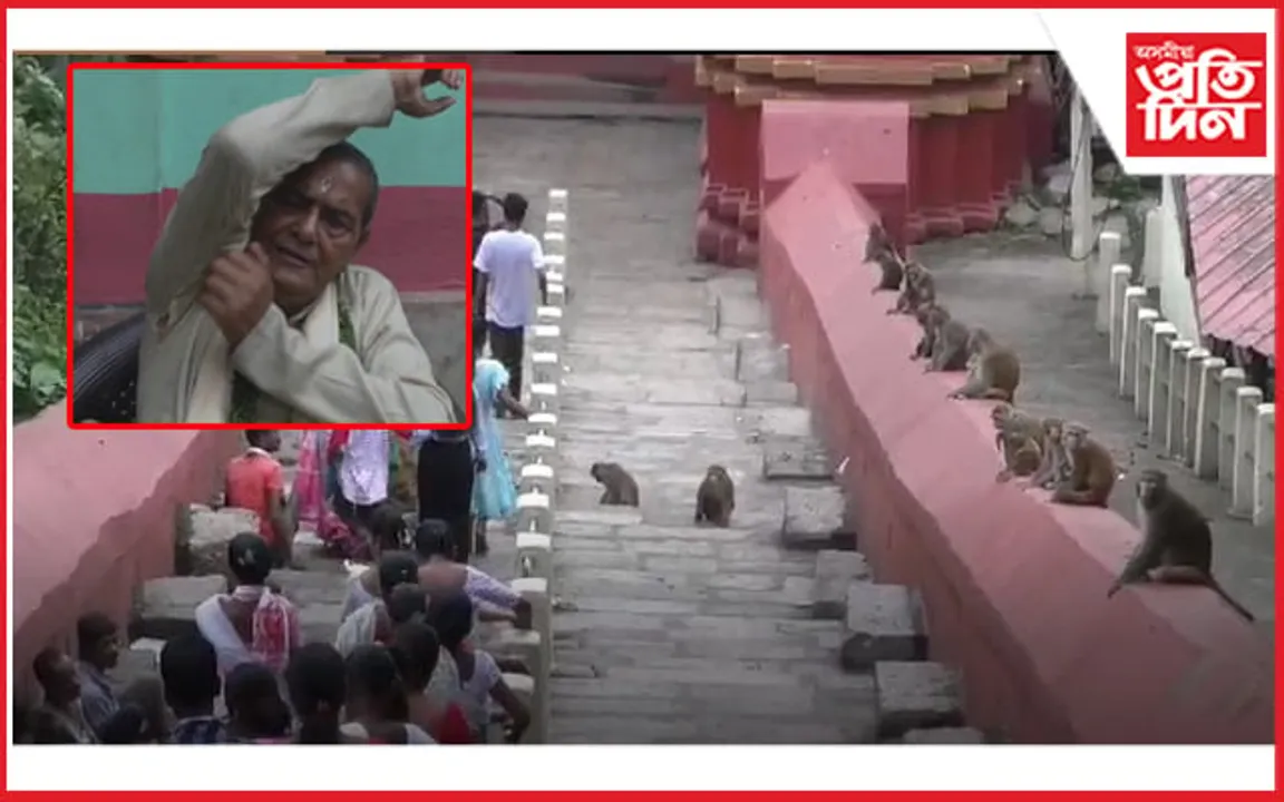 হয়গ্ৰীৱ মাধৱ মন্দিৰলৈ আহোতে সাৱধান! বান্দৰৰ আক্ৰমণত চিকিৎসাধীন মন্দিৰৰ দলৈ