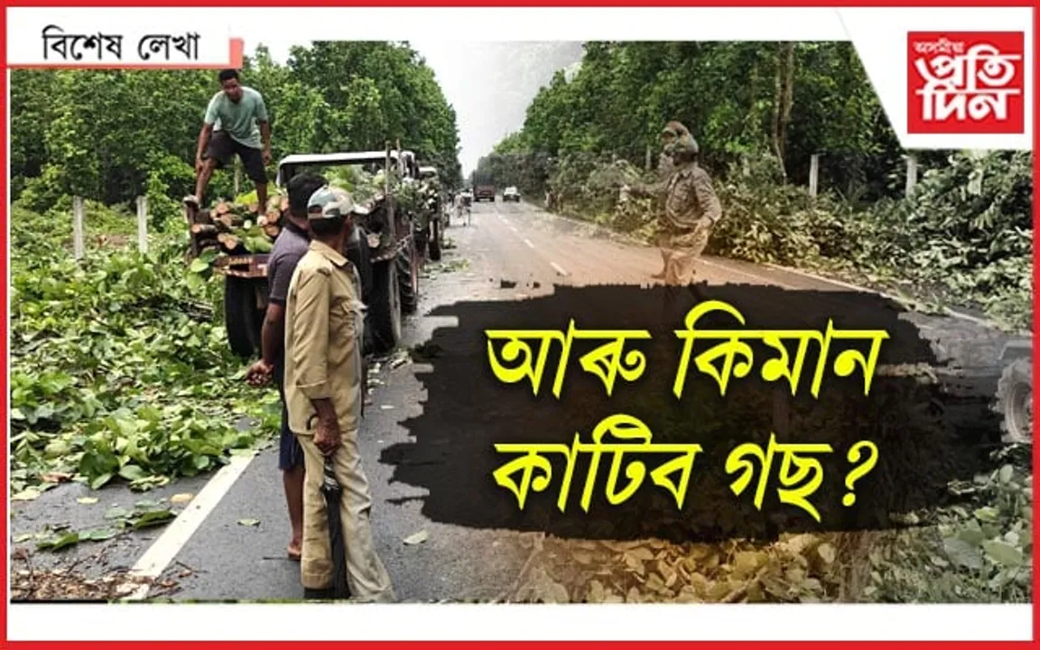ভাল পাইছো ৰঘুনাথ উৰণ সেতু সাজিছা, গছবোৰ পিছে কিয় কাটিছা ?