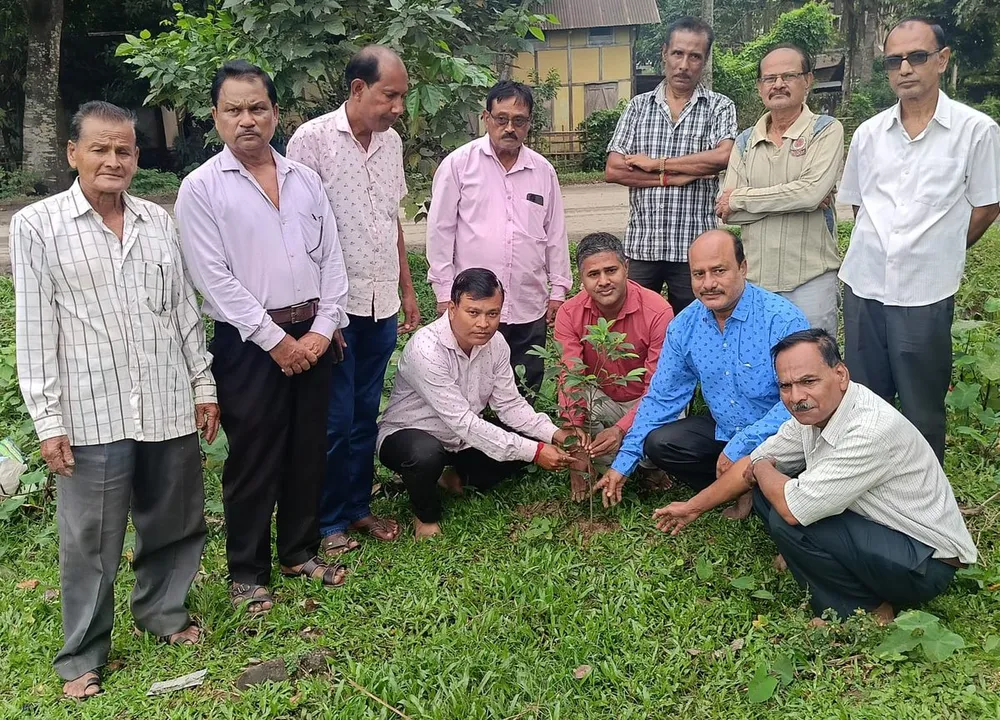 দেৱালী উপলক্ষে মিৰ্জাত গছপুলি ৰোপণ 