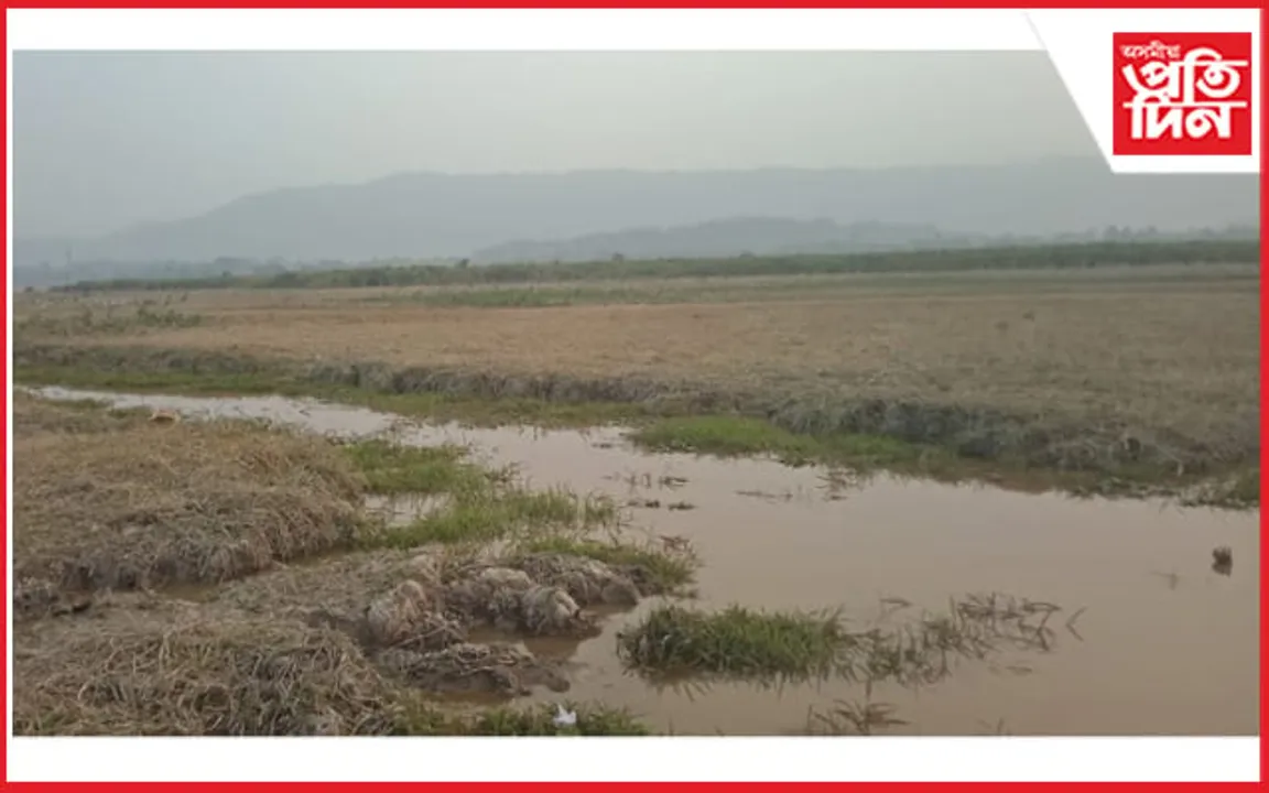 বন বিভাগৰ হেমাহিৰ বাবেই কাজিৰঙাত অতীত হোৱাৰ পথত দুখন বিল