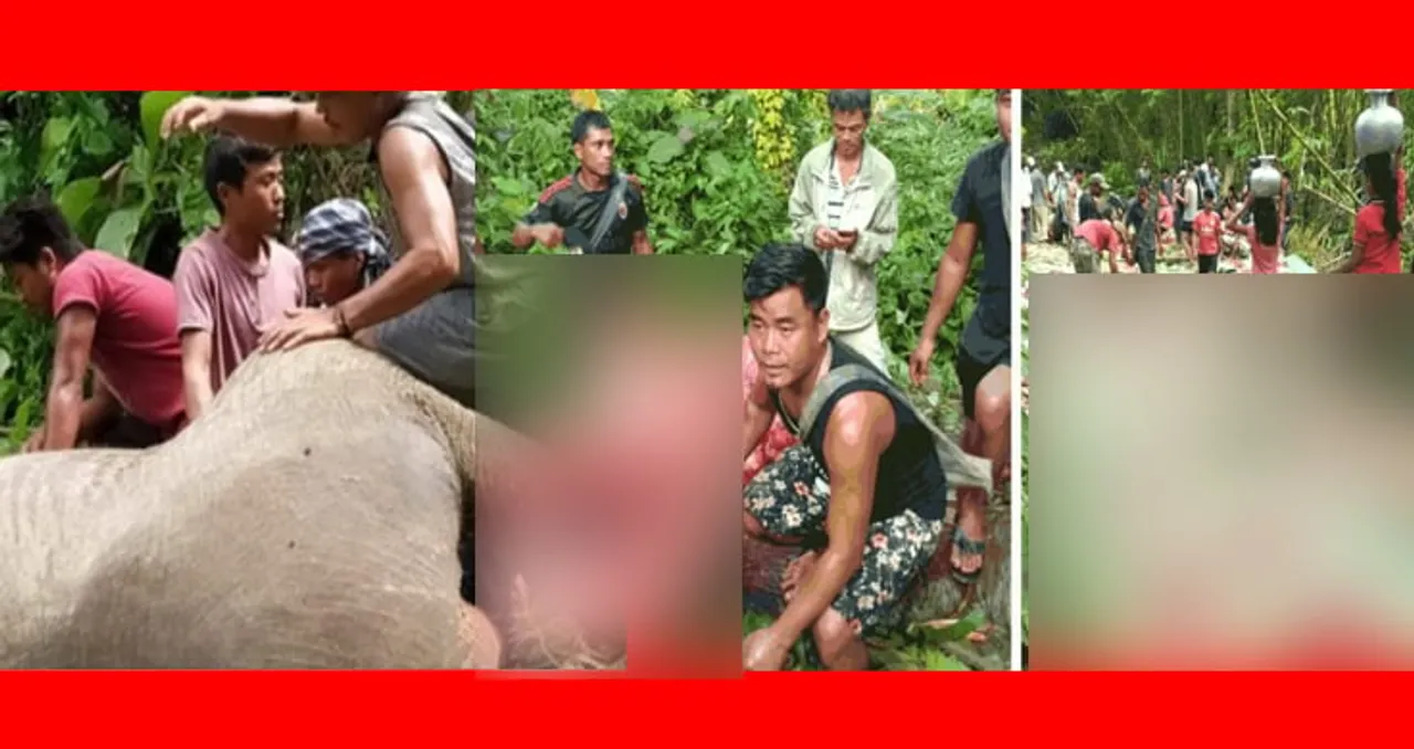 মানুহ নে অসুৰ! হৰিণা নহয়, হাতীৰ মাংসৰে পাতিলে বৰভোজ…