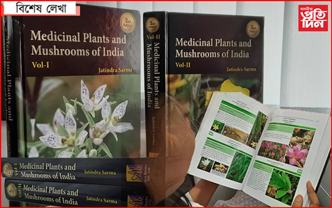 অসমৰ গছ-বনঃ নকৰেহে আপুনি মন, পাহাৰে-ভৈয়ামে পৰি আছে ধন…