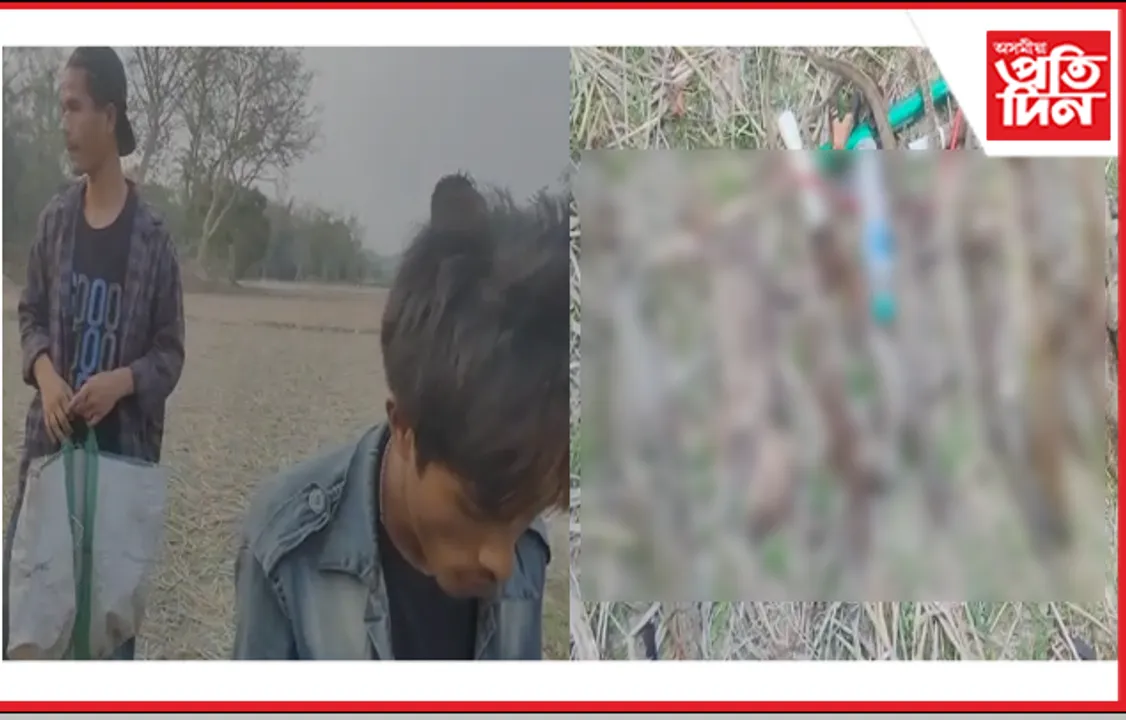 একাংশ জীৱ শ্ৰেষ্ঠৰ কবলৰ পৰা সাৰি নগ’ল বিলুপ্ত প্ৰায় প্ৰাণীও…