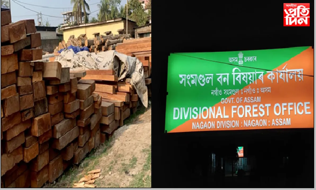 আঢ়ৈ কোটিৰ বিনিময়ত বাৰ্মাকে ধৰি বহিৰাজ্যৰ চোৰাং কাঠৰ ট্ৰাক নগাঁৱত নিশা প্ৰৱেশৰ অনুমতি…