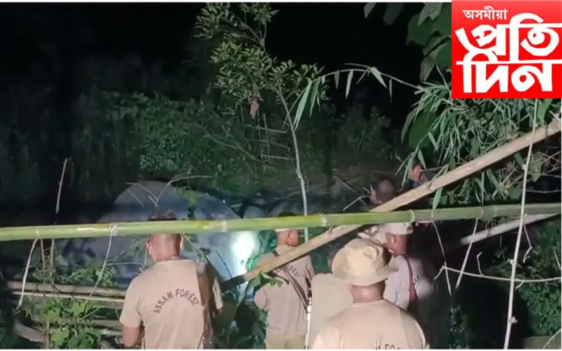 বোকাজানত ৰেলৰ খুন্দাত বন্যহস্তী মৃত্যু