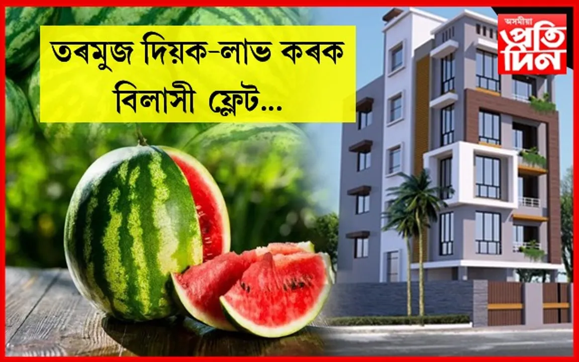 ধন নালাগে! তৰমুজৰ বিনিময়ত লাভ কৰিব বিলাসী ফ্লেট…