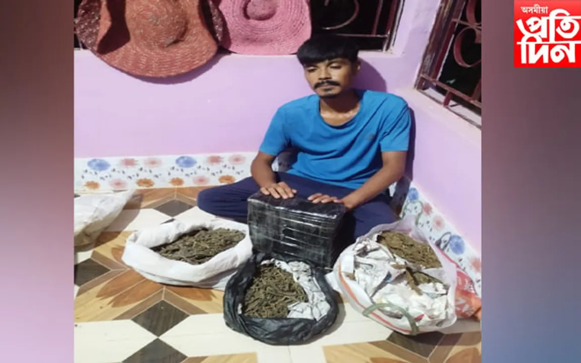 বকো আৰক্ষীৰ গাঞ্জাৰ বিৰূদ্ধে অভিযান, গ্ৰেপ্তাৰ এজন