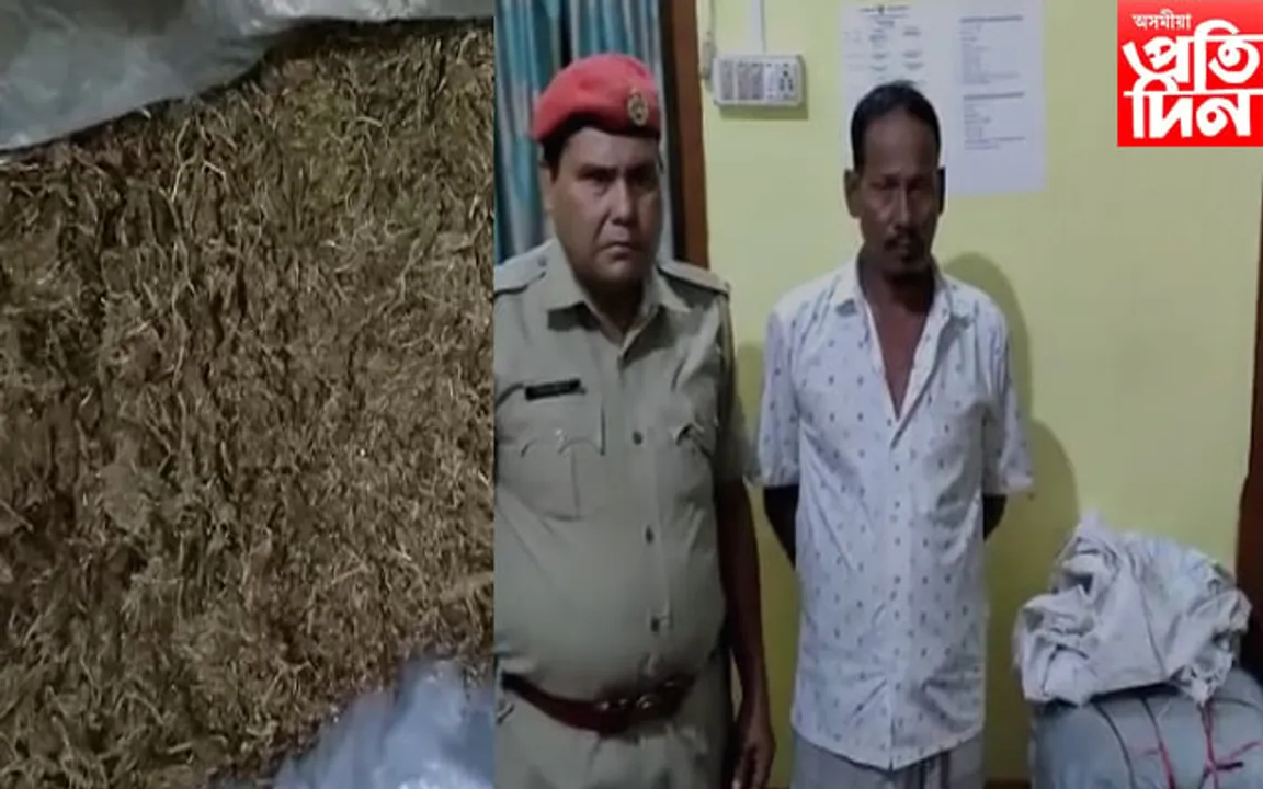 দক্ষিণ শালমাৰাৰ আইৰকাটাত ফকিৰগঞ্জ আৰক্ষীৰ অভিযান…