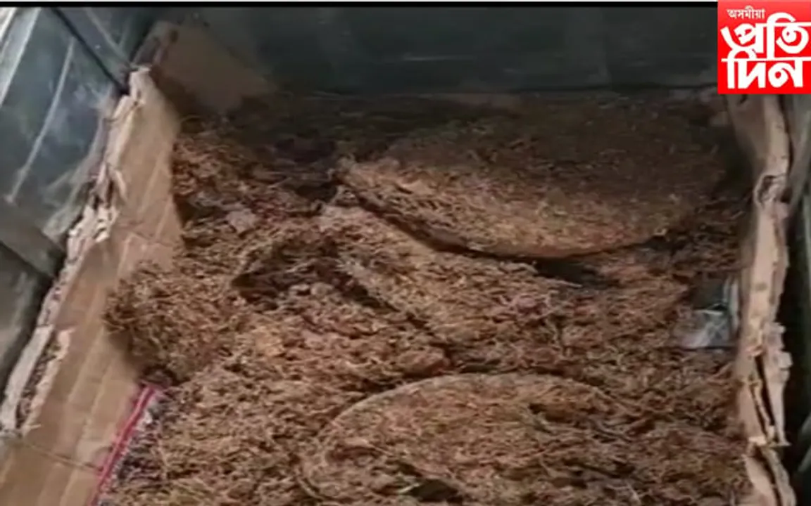 ঢালিগাঁও থানাৰ ছাতিপুৰত বুজন পৰিমাণৰ গাঞ্জা সহ এজনক আটক…