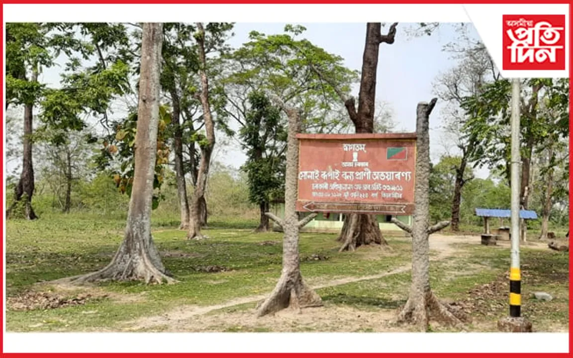 সোণাই ৰূপাইত ২ লাখ অবৈধ বেদখলকাৰী ! কিয় কৰা নহয় উচ্ছেদ? ভোট বেংকৰ বাবেই ৰাষ্ট্ৰপতিৰ পত্ৰকো অৱজ্ঞা…