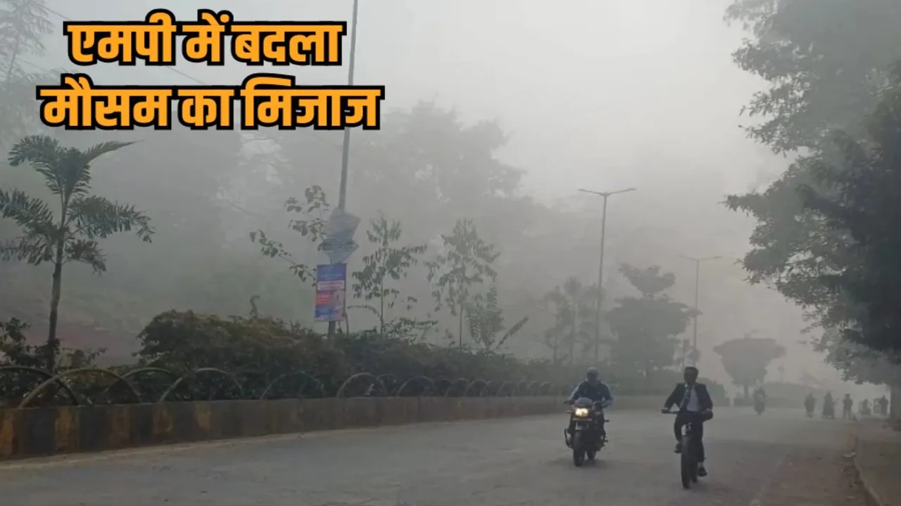 mp weather update temperature dip below 10 degree in 11cities karondi coldest hindi news zvj