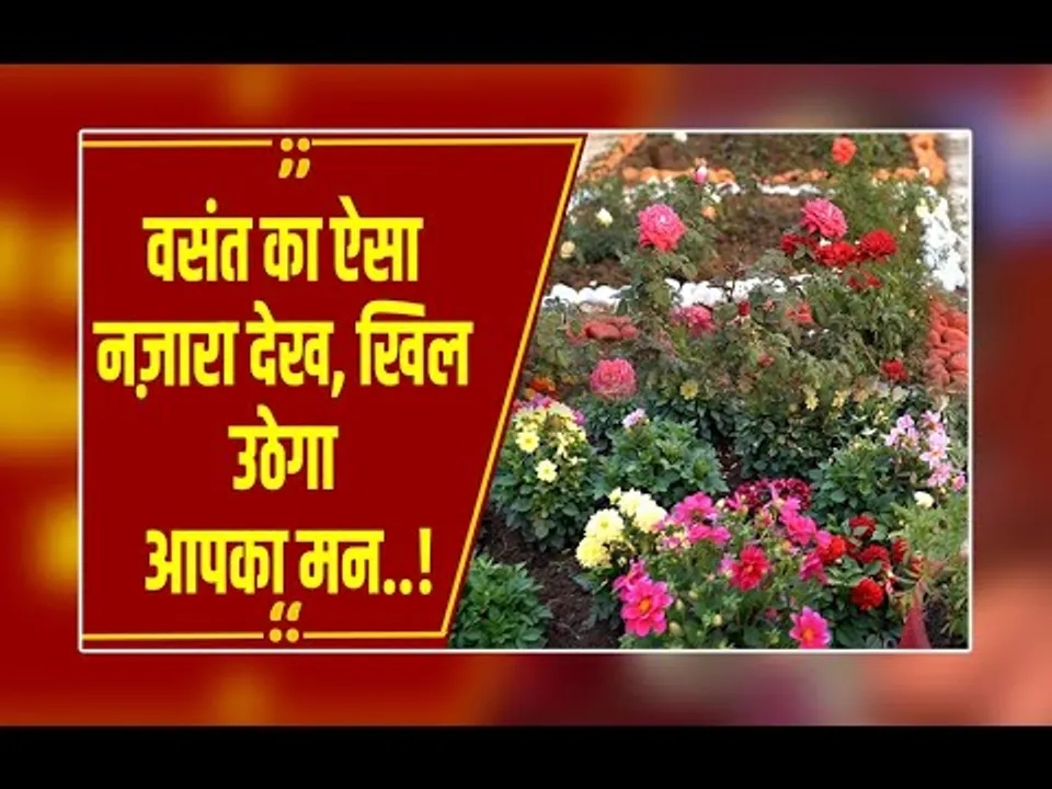 ऋतुराज वसंत का जादू: एक साथ देखिये फूलों की हज़ारों किस्में, बस देखते रह जाएंगे आप!