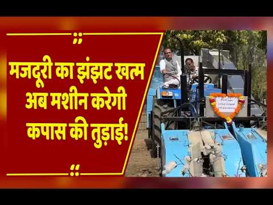 कपास के किसानों की खुली किस्मत, वैज्ञानिकों का ये आविष्कार बचाएगा लाखों रुपये!