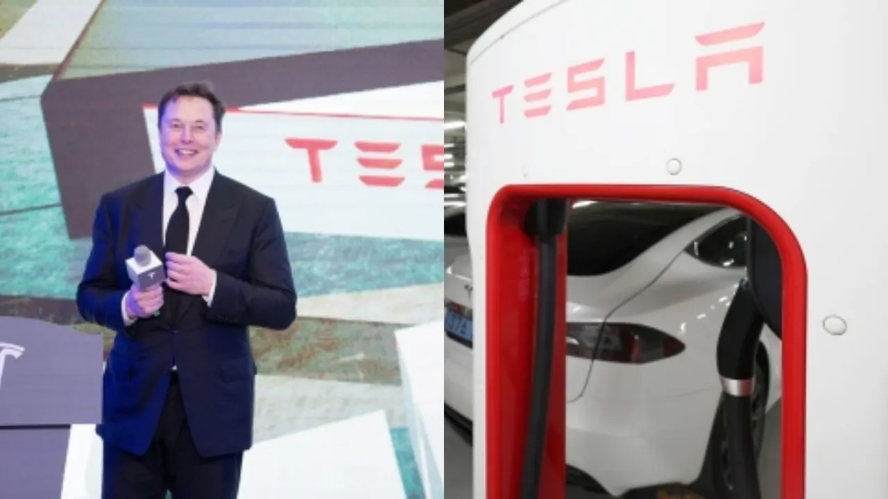  TESLA EV Photograph: (आईएएनएस) 