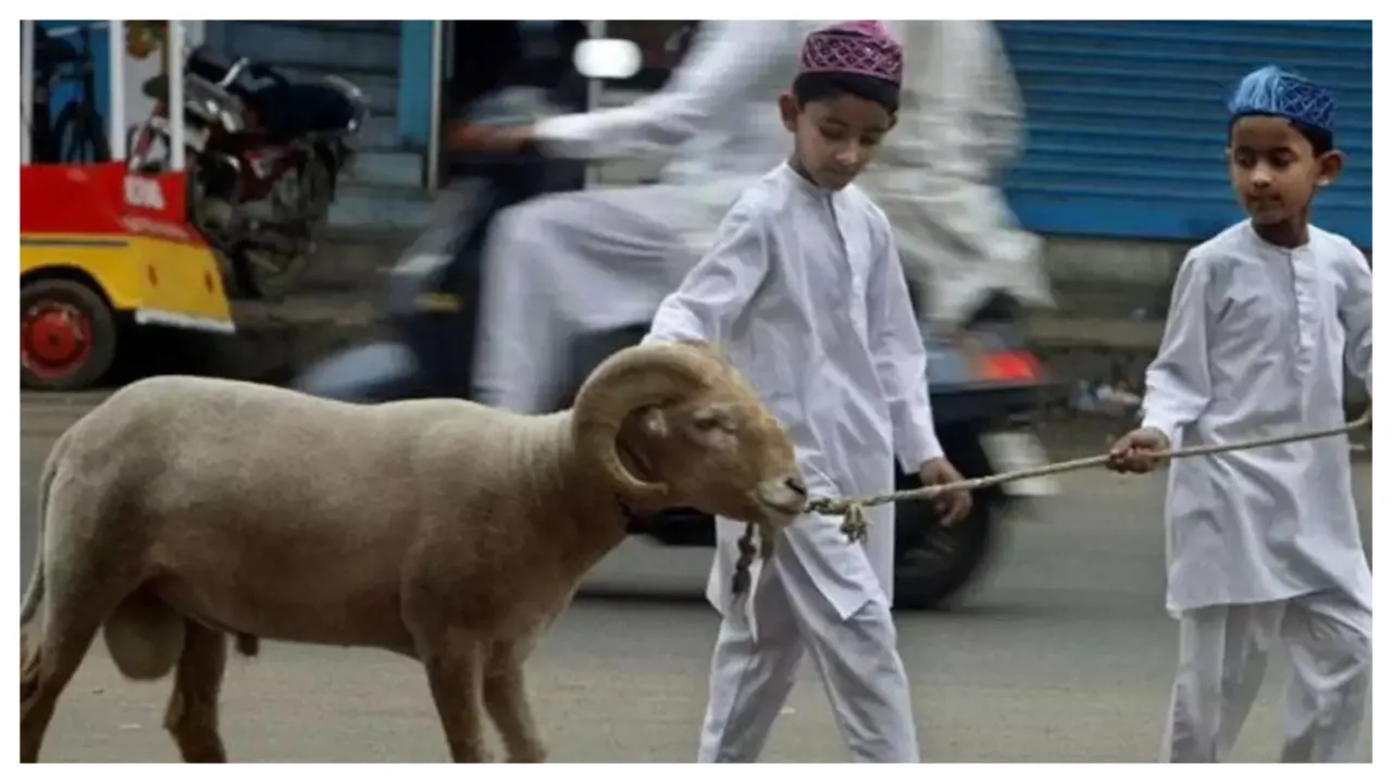  बकरीद Photograph: (Social Media) 