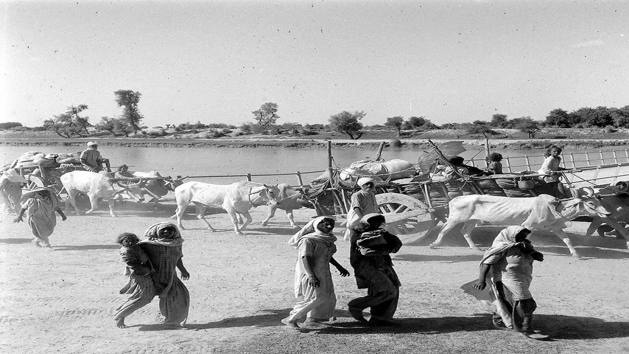  विरासतनामा: बंटवारे के निर्दोष भुक्तभोगी- शरणार्थी