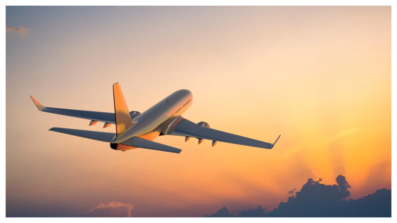  flight Photograph: (सोशल मीडिया) 