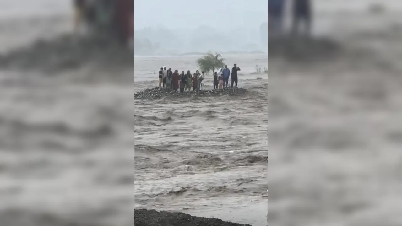  सोशल मीडिया एक्स 