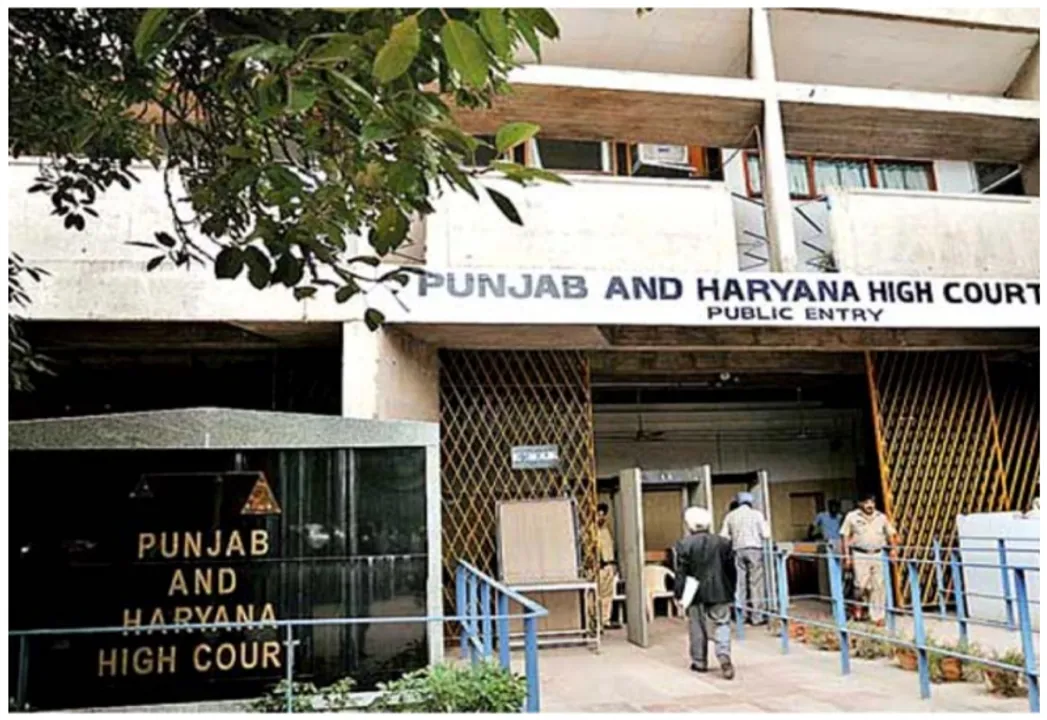  बिना किसी गवाह या वकील के ऑटो रिक्शा में निकाह क्यों?, पंजाब हाईकोर्ट ने CBI को सौंपी अंतरधार्मिक विवाह की जांच