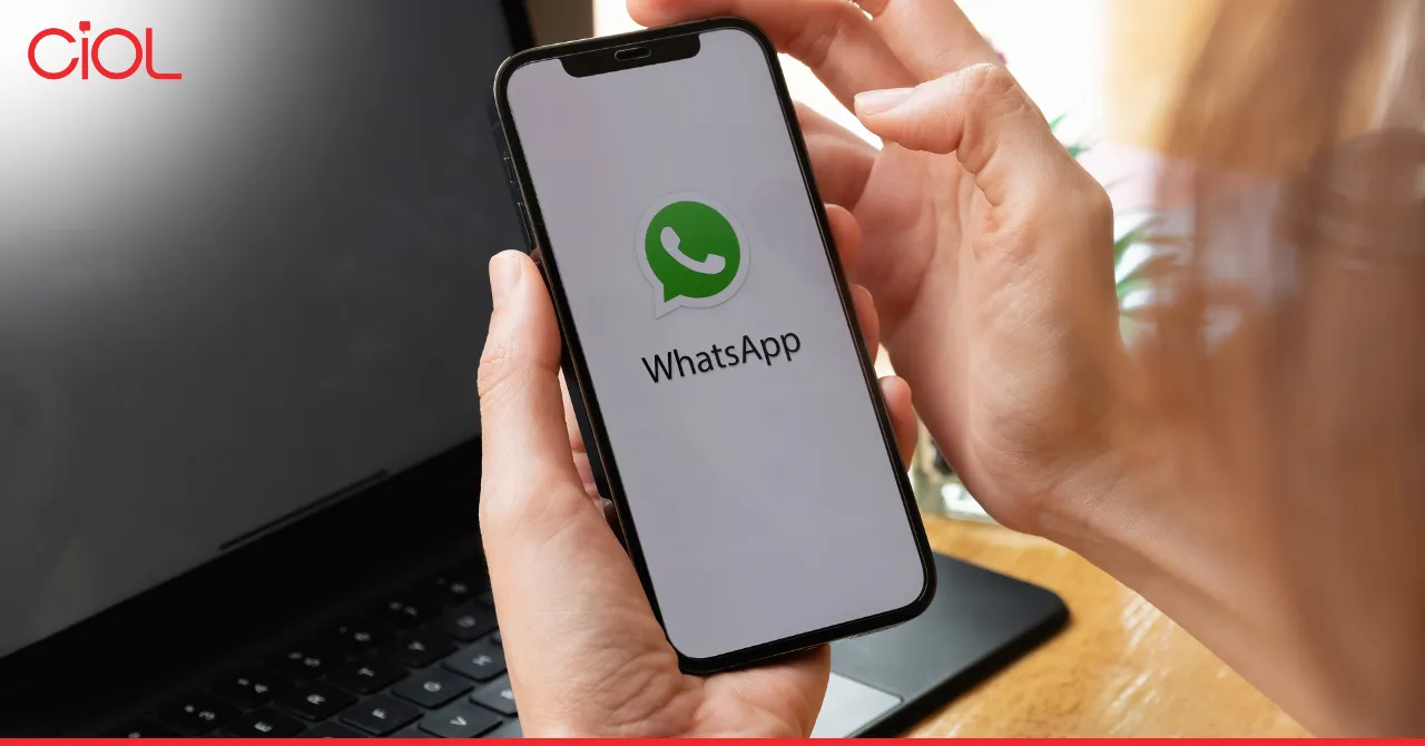 whatsapp 