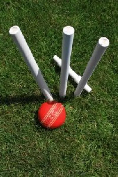 cricket