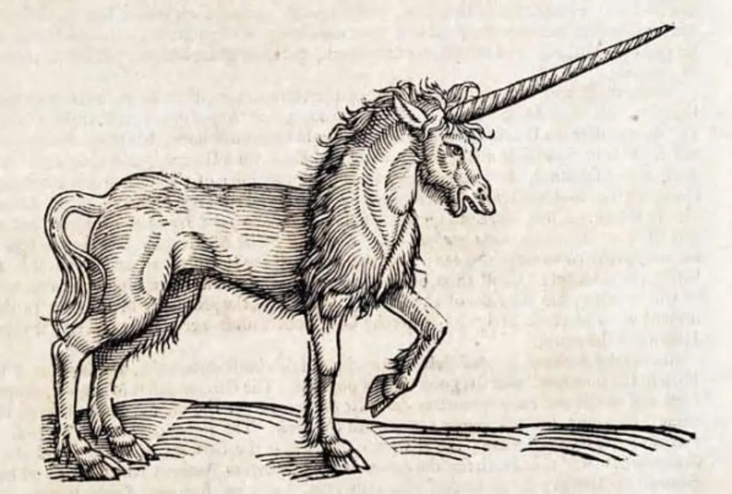 CIOL battle for survival unicorn vs cockroach