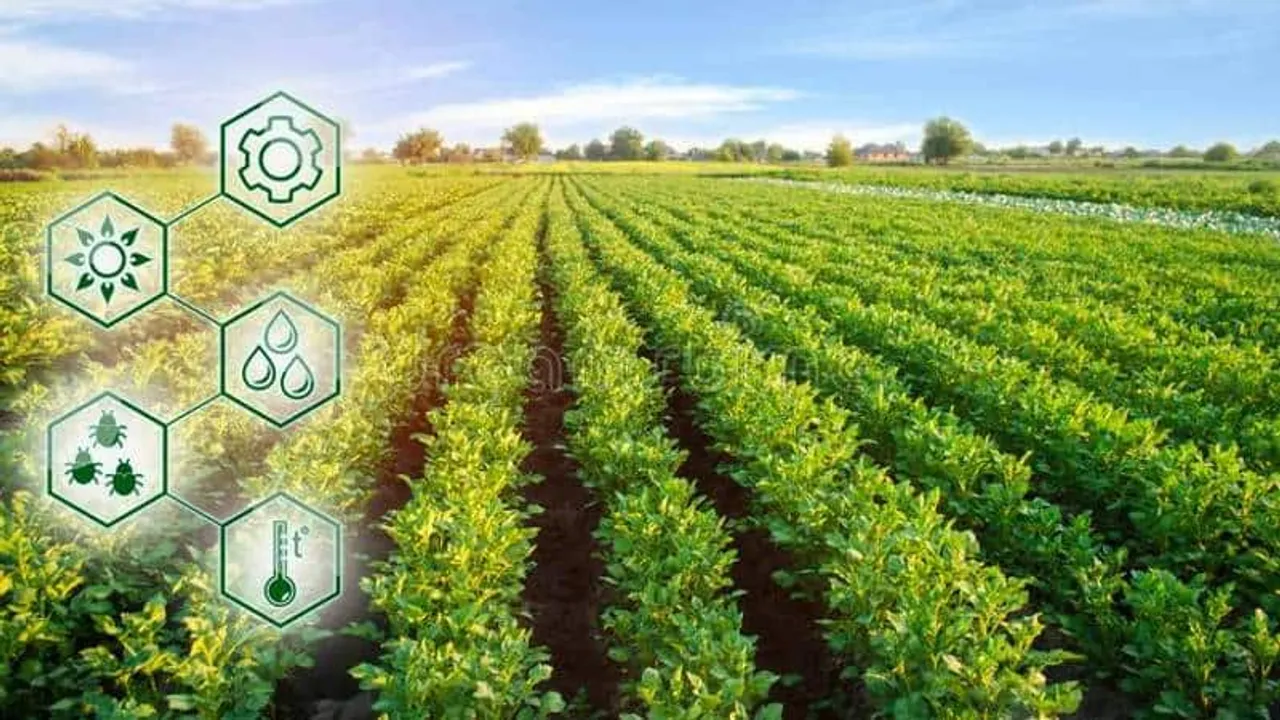 Transforming Agro processing industries