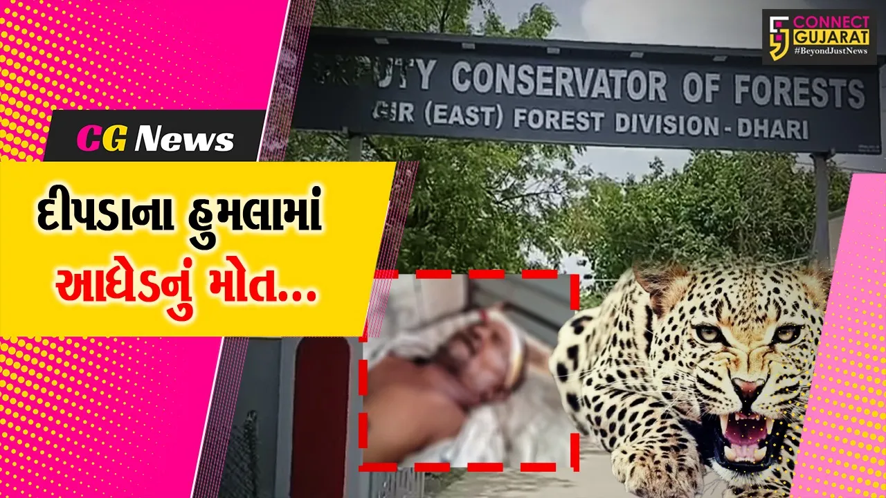 leopard Attack Amreli