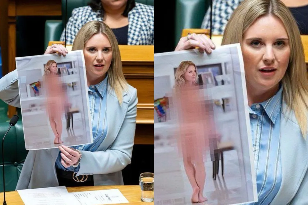 New Zealand MP McClure on Deepfakes