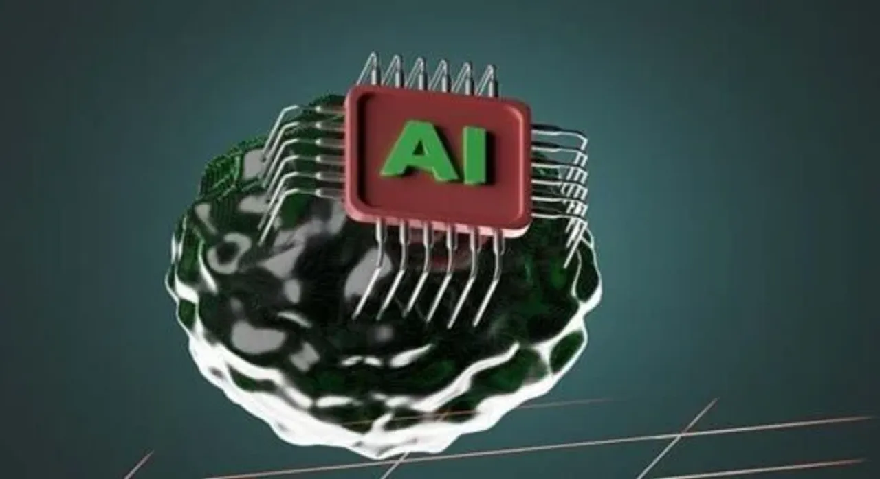 oie 5134135XNXhxhJH 550x300