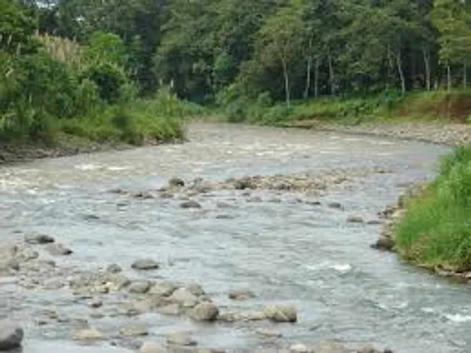 Rivers jpg