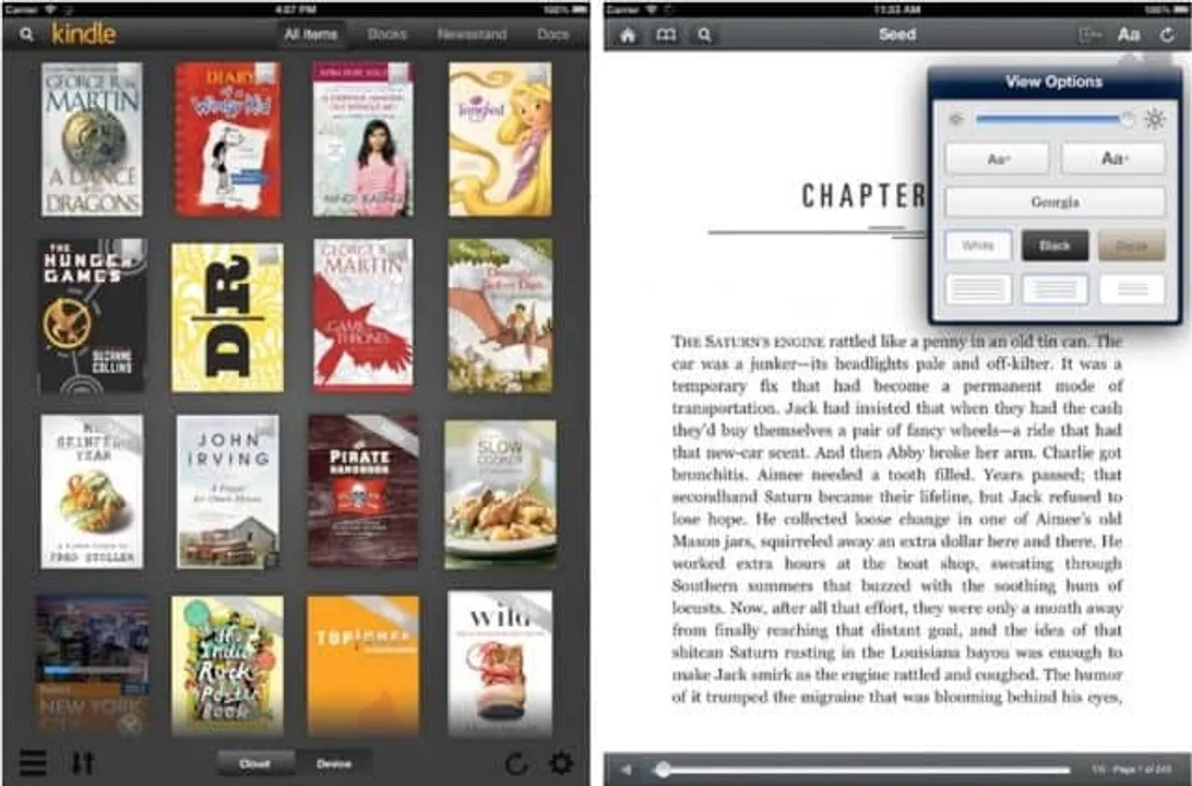 Screen Shot at . .