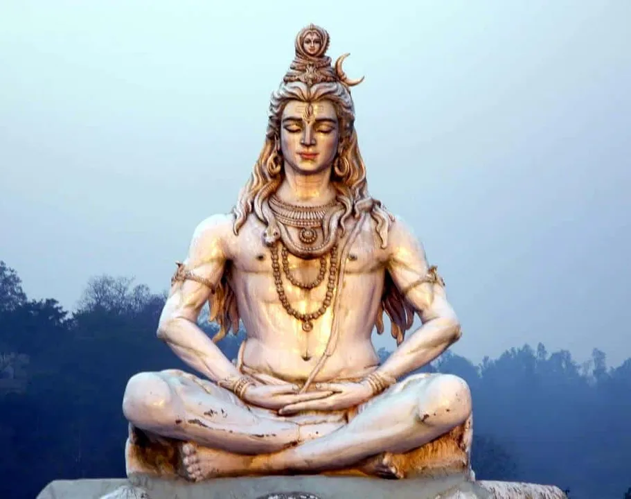 shiv
