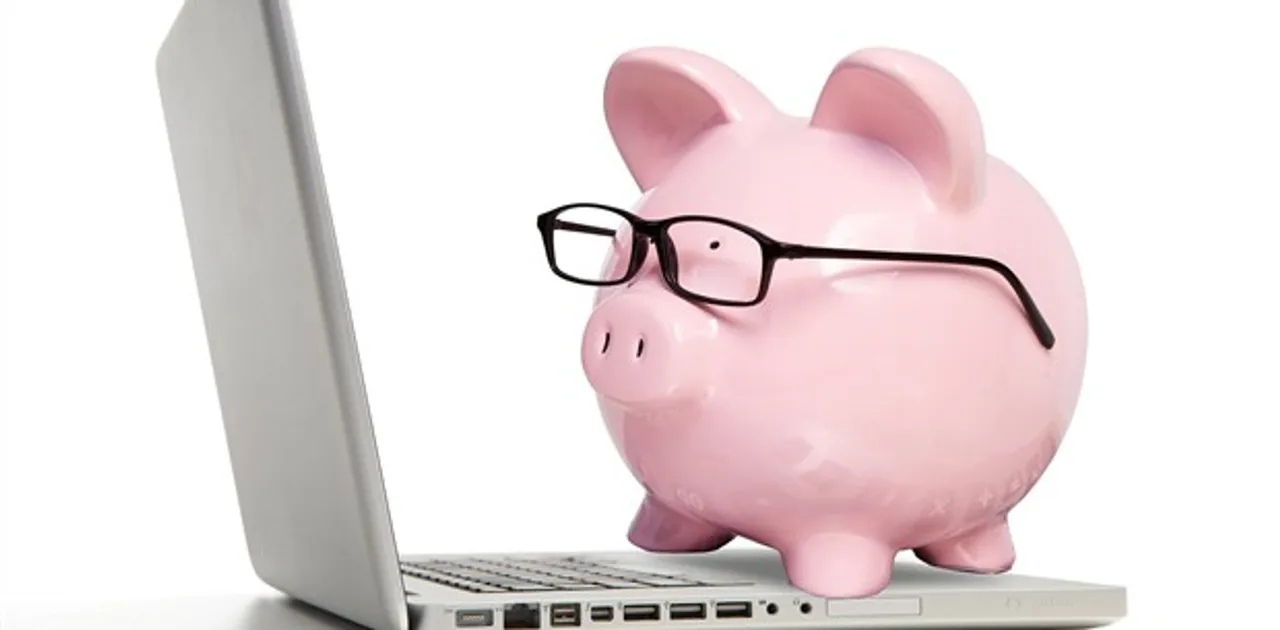 piggy at computer shows sav