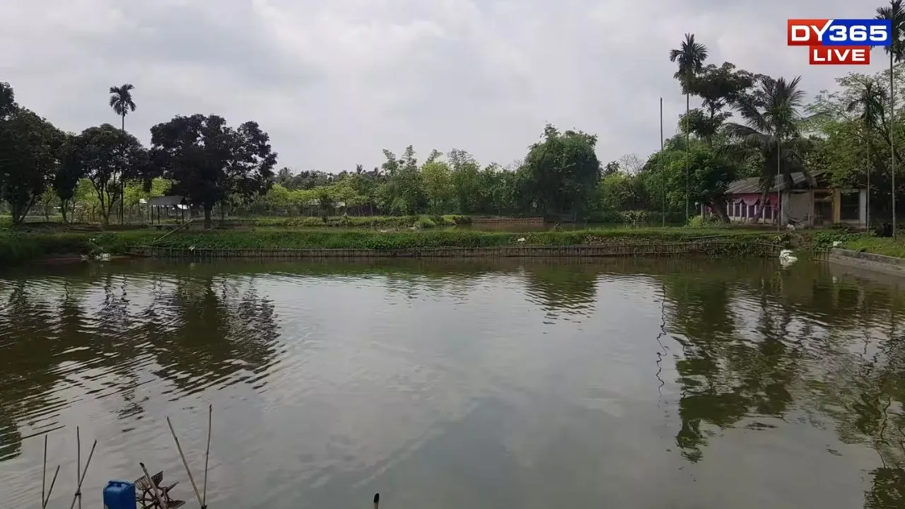 pond