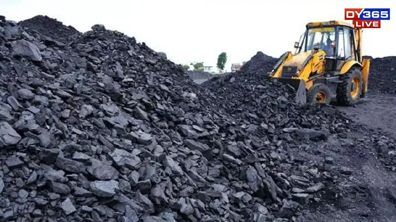 Coal
