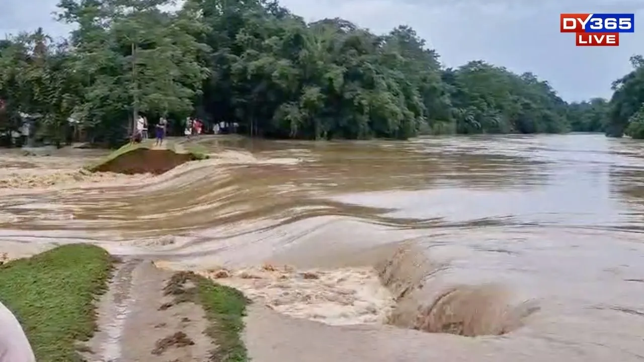 Flood