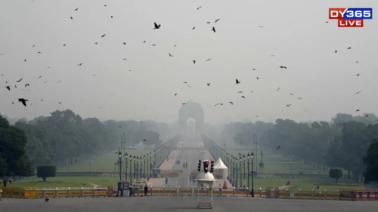 Delhi (1)