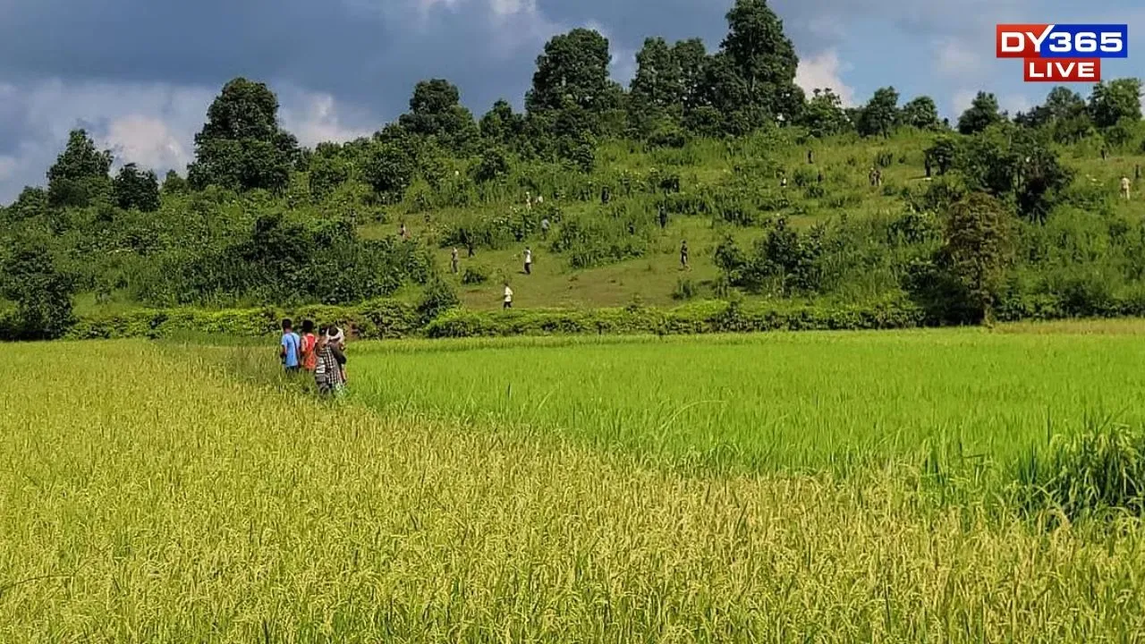 Lapangap