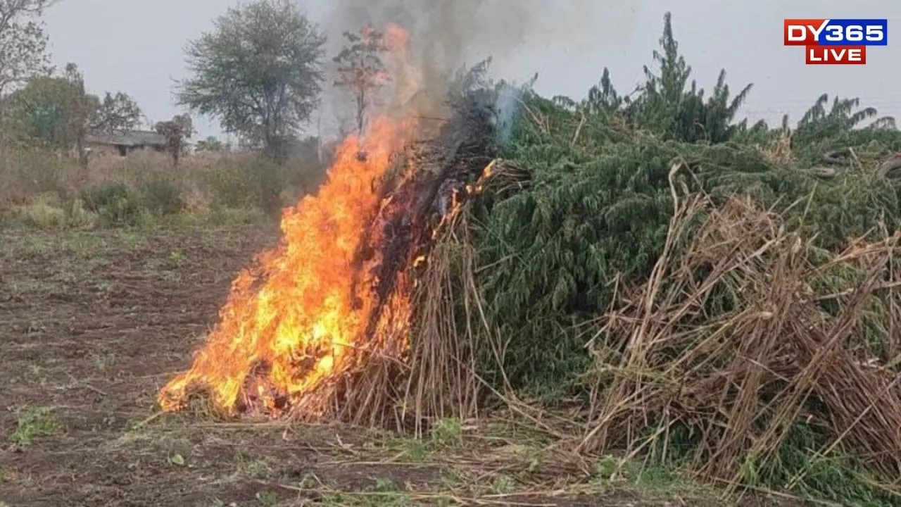 Buring