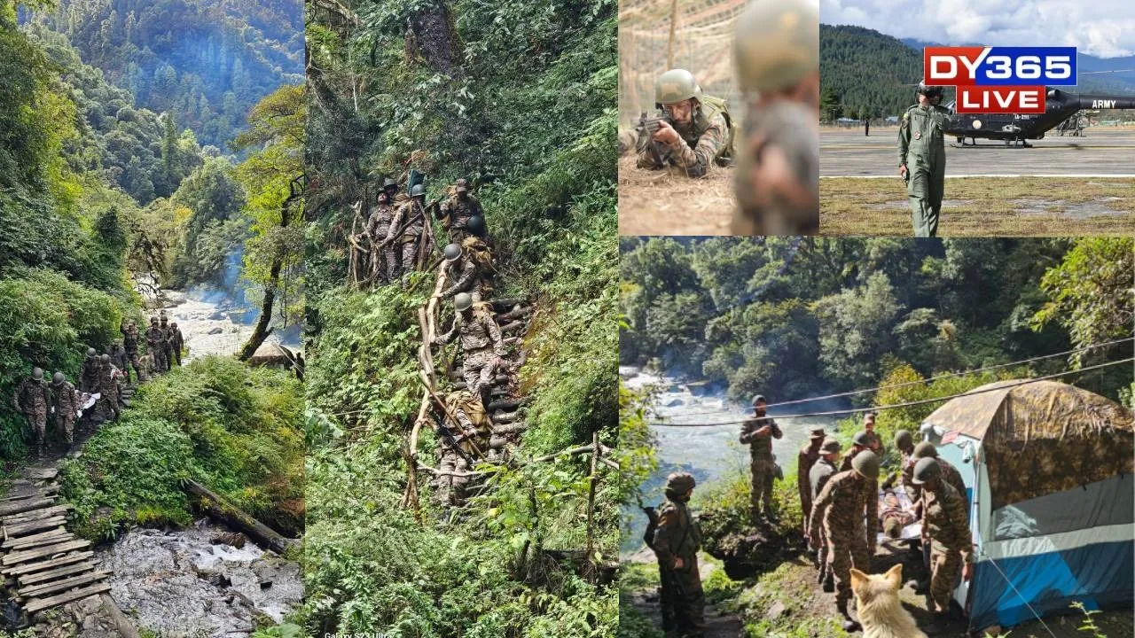 What Happens When the Army Enters the Jungle with a Hospital on Its Back?